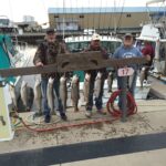 Lake Ontario Fishing Charters -T-K Charters