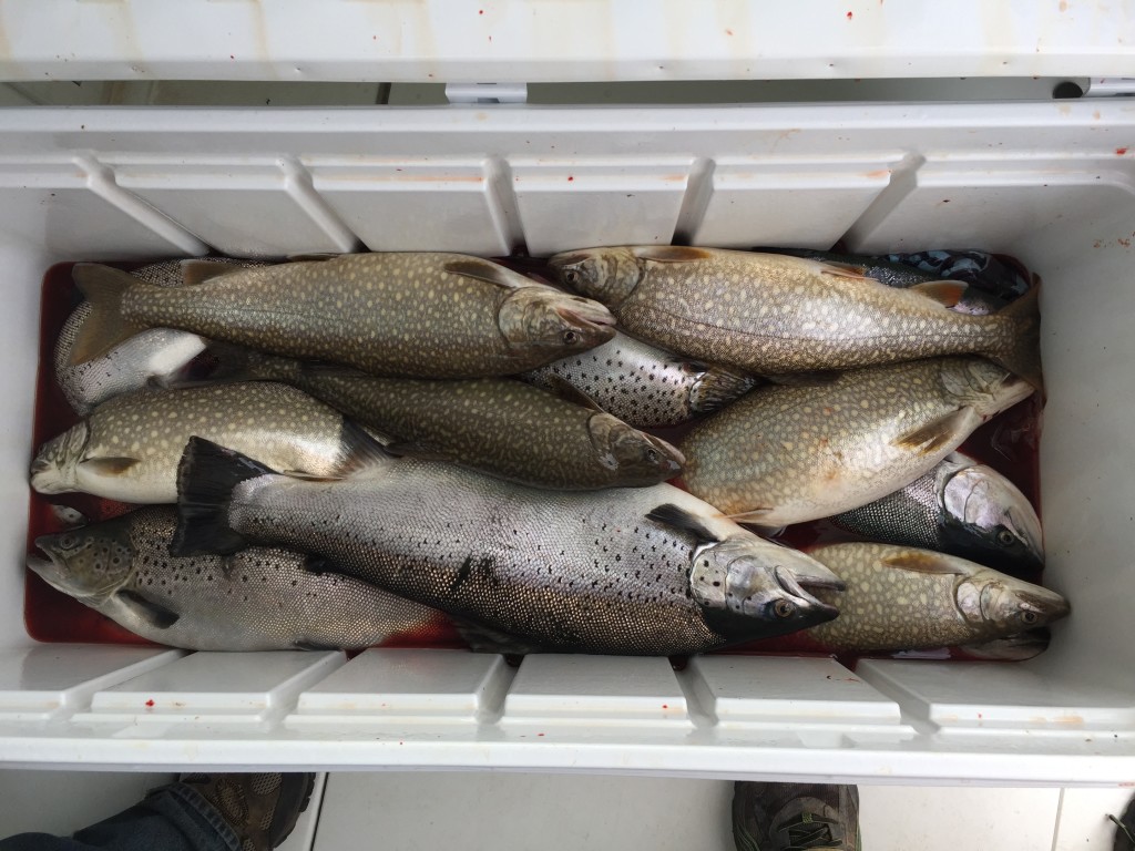 Lake-Ontario-Fishing-Charter-05232017